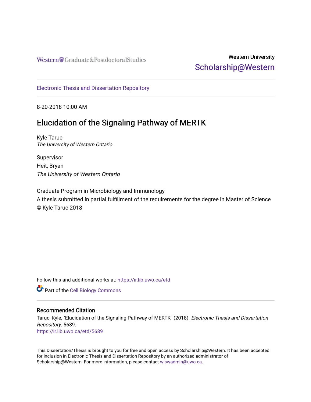 Elucidation of the Signaling Pathway of MERTK