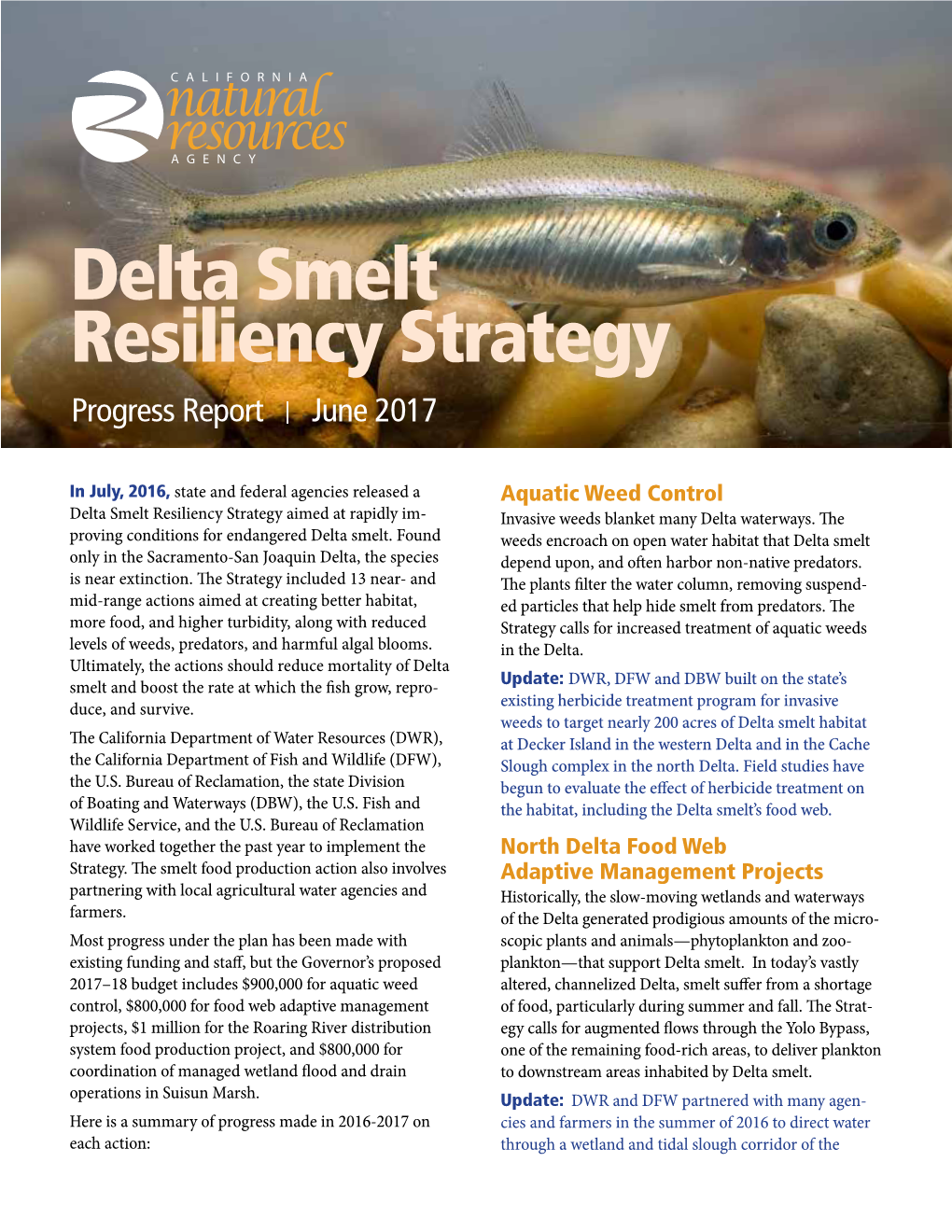 Delta Smelt Resiliency Strategy Progress Report | June 2017