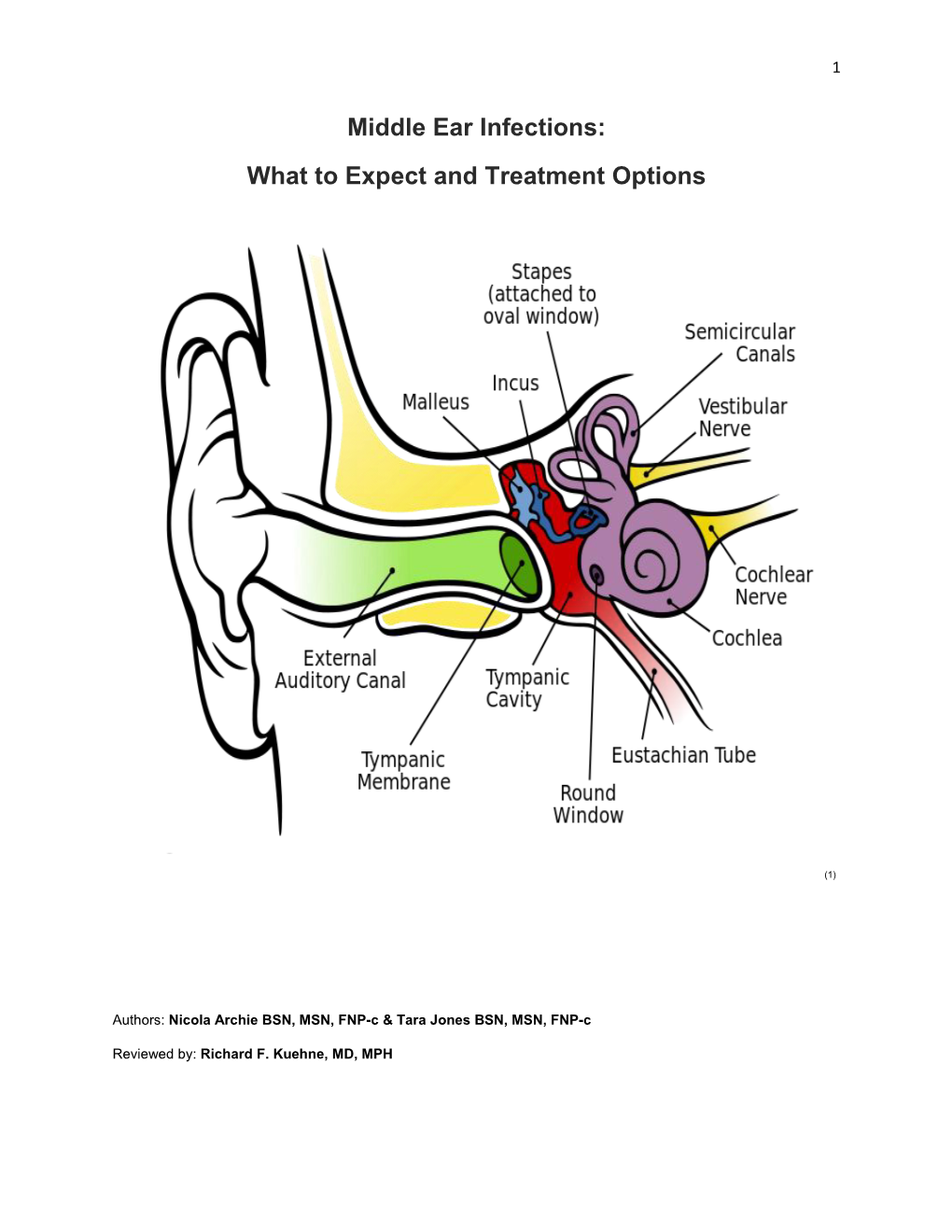 Middle Ear Infections: What to Expect and Treatment Options