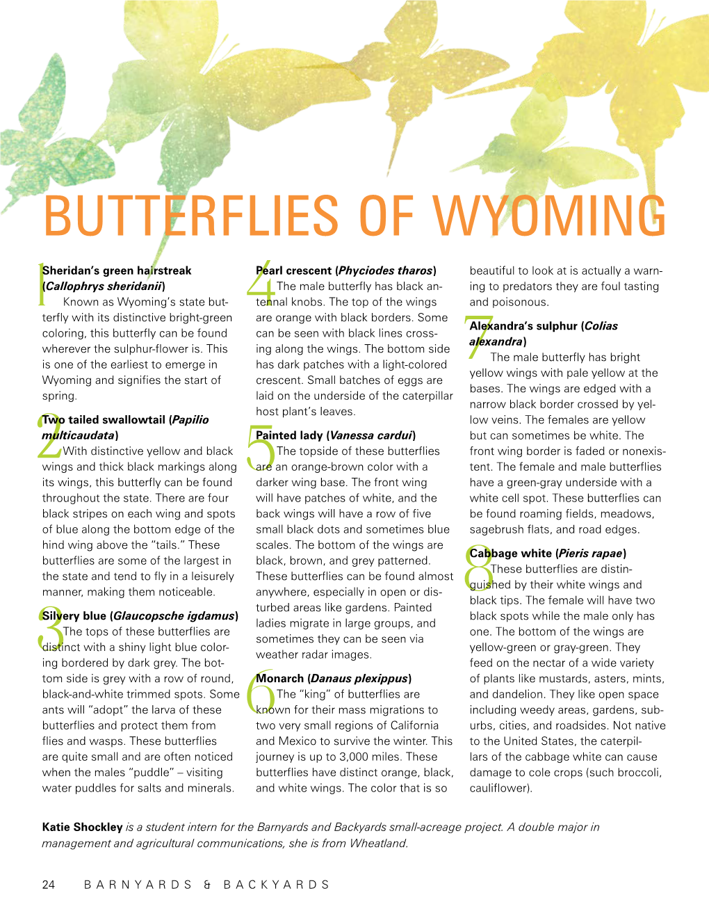 Butterflies of Wyoming