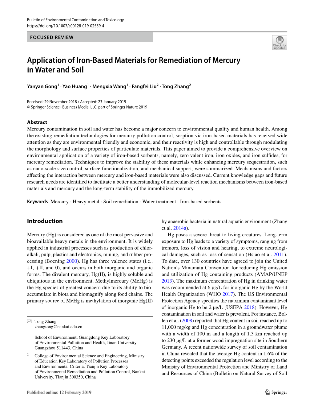 Application of Iron-Based Materials for Remediation of Mercury in Water and Soil
