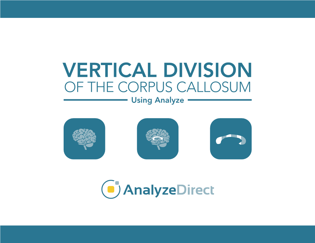 VERTICAL DIVISION of the CORPUS CALLOSUM Using Analyze VERTICAL DIVISION of the CORPUS CALLOSUM USING ANALYZE 2