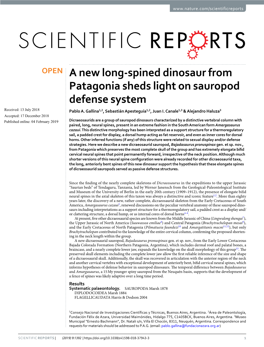 A New Long-Spined Dinosaur from Patagonia Sheds Light on Sauropod Defense System Received: 13 July 2018 Pablo A