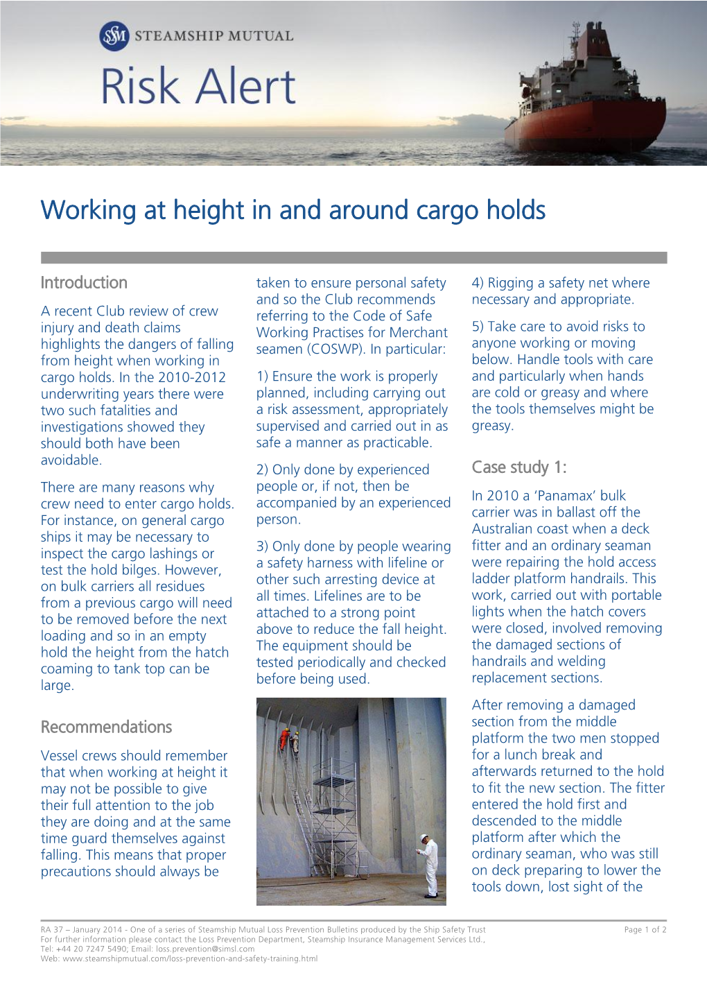 Working at Height in and Around Cargo Holds