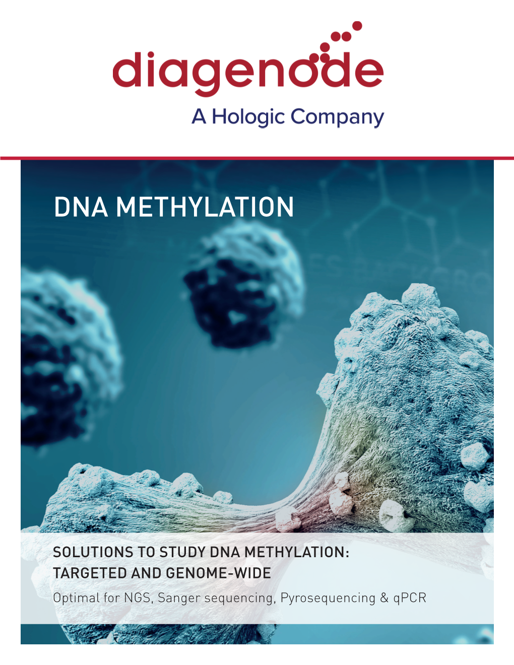 Dna Methylation