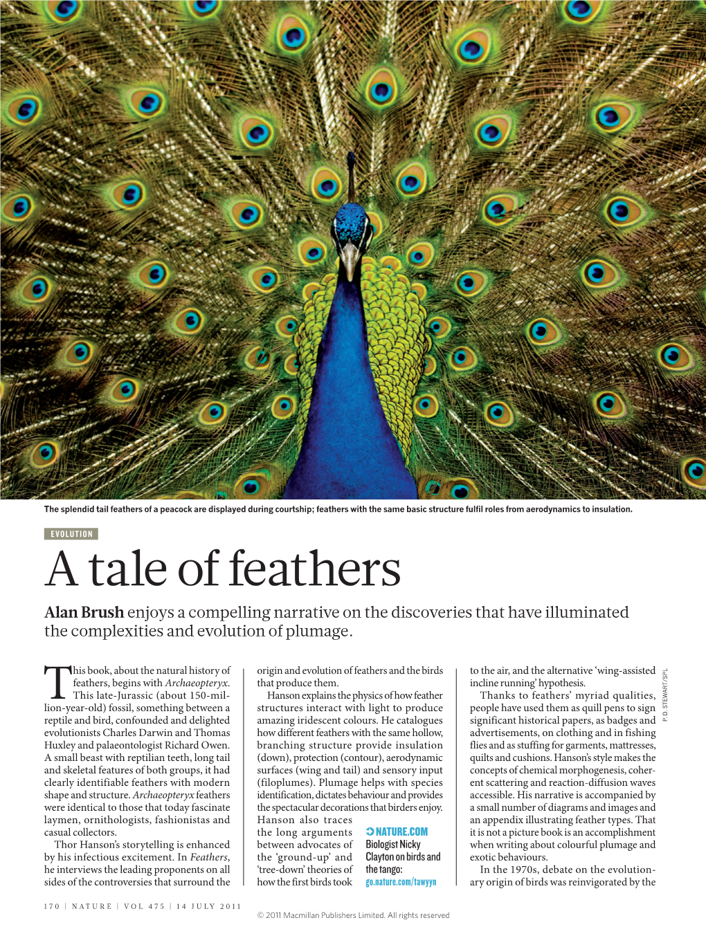 A Tale of Feathers Alan Brush Enjoys a Compelling Narrative on the Discoveries That Have Illuminated the Complexities and Evolution of Plumage