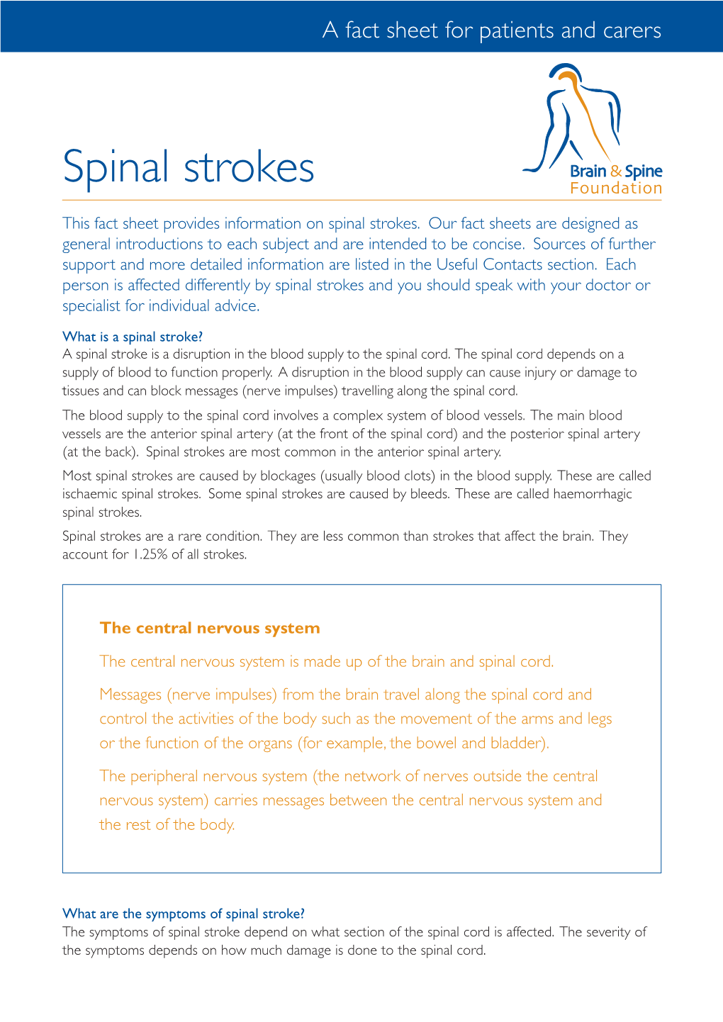 Spinal Strokes