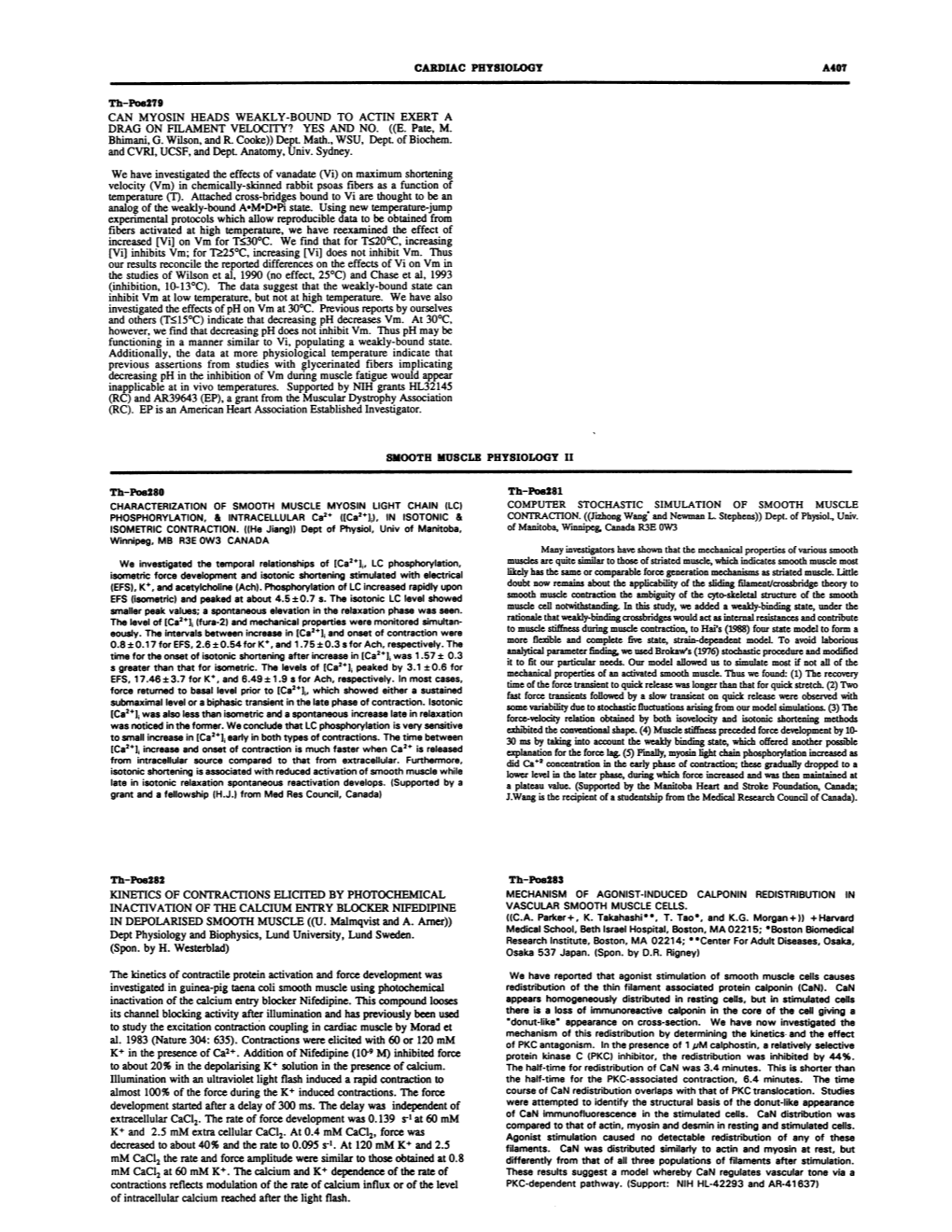 Can Myosin Heads Weakly-Bound to Actin Exert a Drag on Filament Velocity? Yes and No