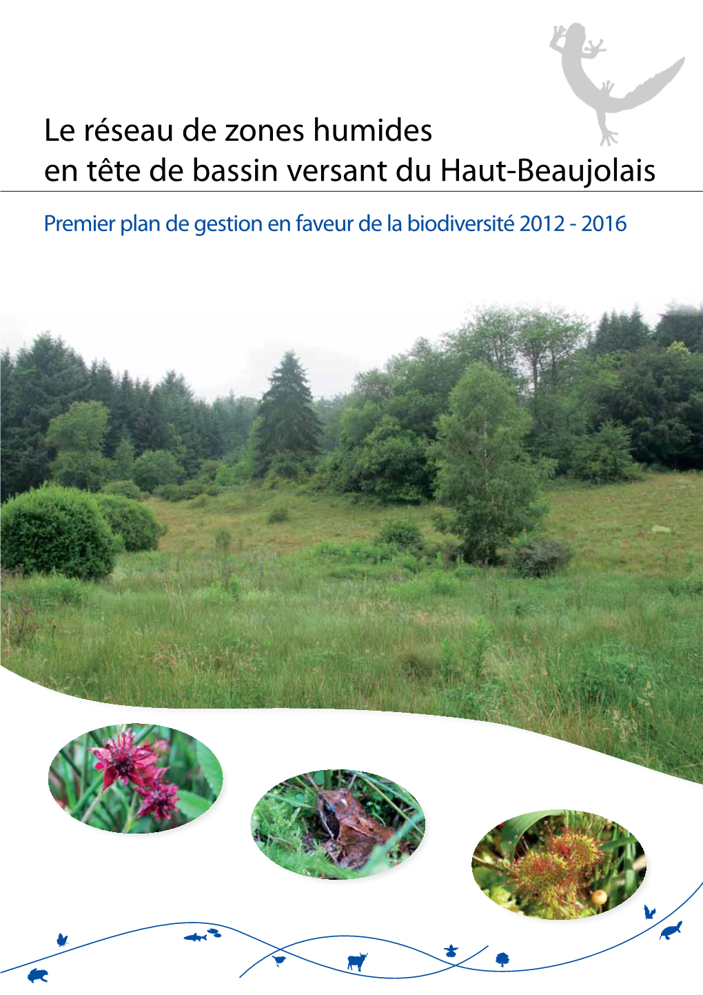 Le Réseau De Zones Humides En Tête De Bassin Versant Du Haut-Beaujolais