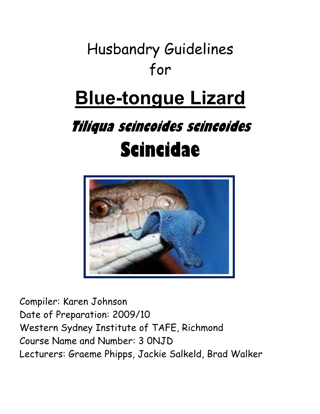 Blue Tongue Lizard Overseas the Quarantine Laws and Requirements Vary Depending on Which Country It Is to Be Exported To