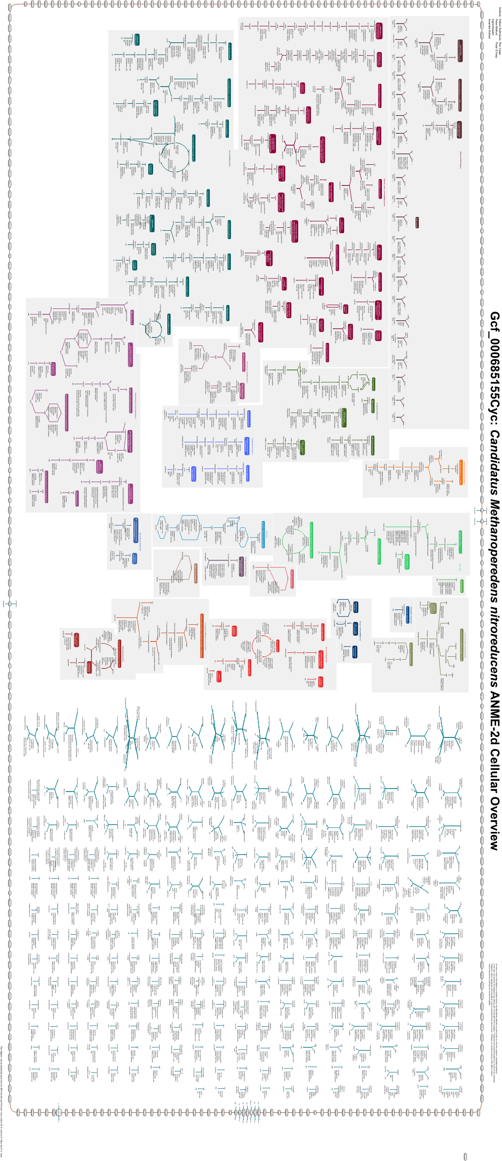 Generate Metabolic Map Poster