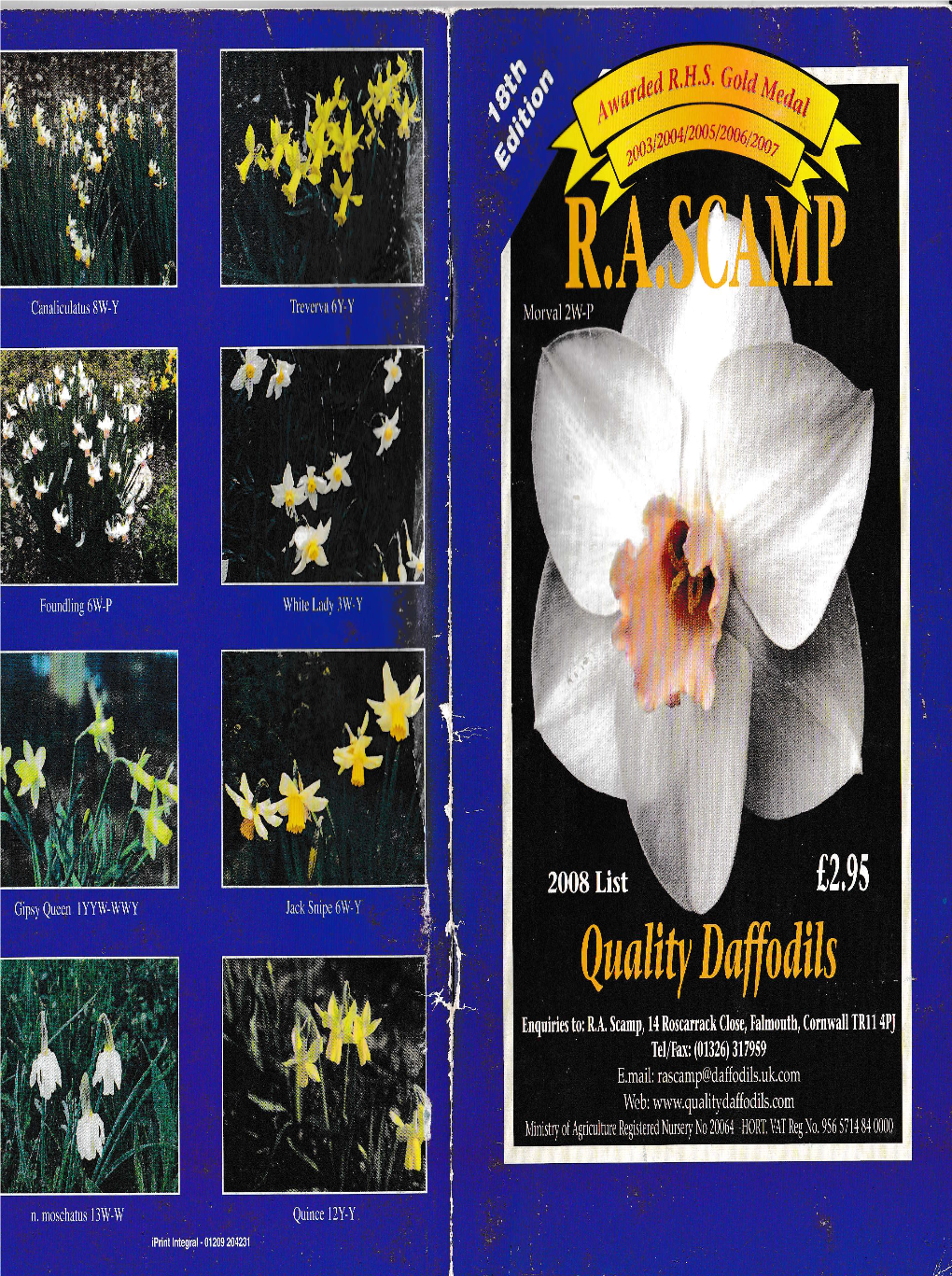 R.A. Scamp Quality Daffodils 2008