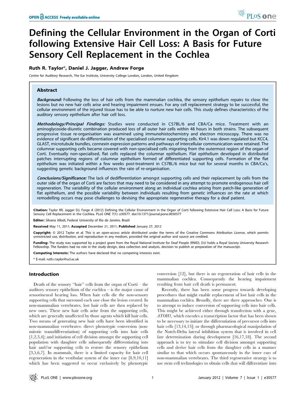 A Basis for Future Sensory Cell Replacement in the Cochlea