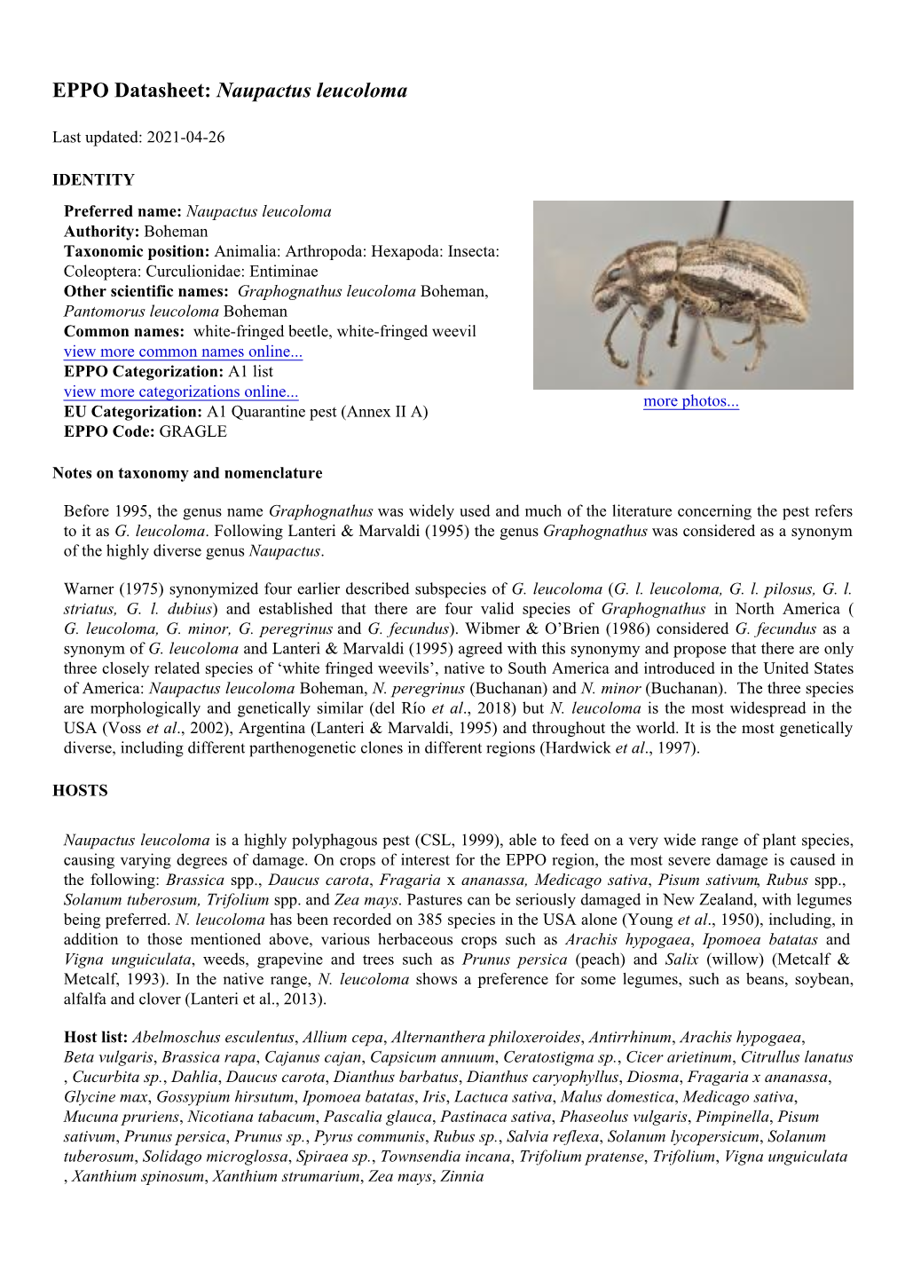 EPPO Datasheet: Naupactus Leucoloma