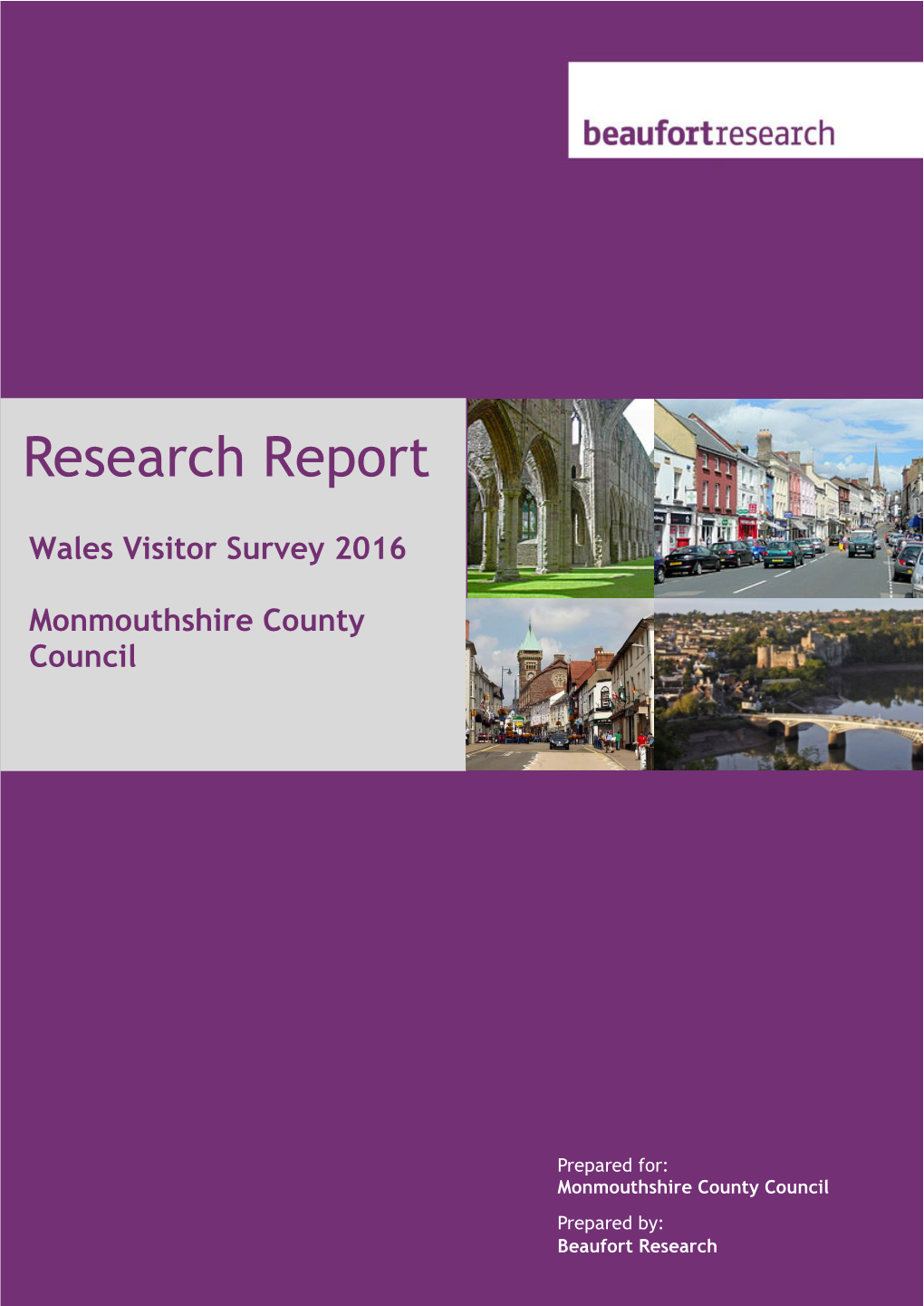 2016 Monmouthshire Visitor Survey