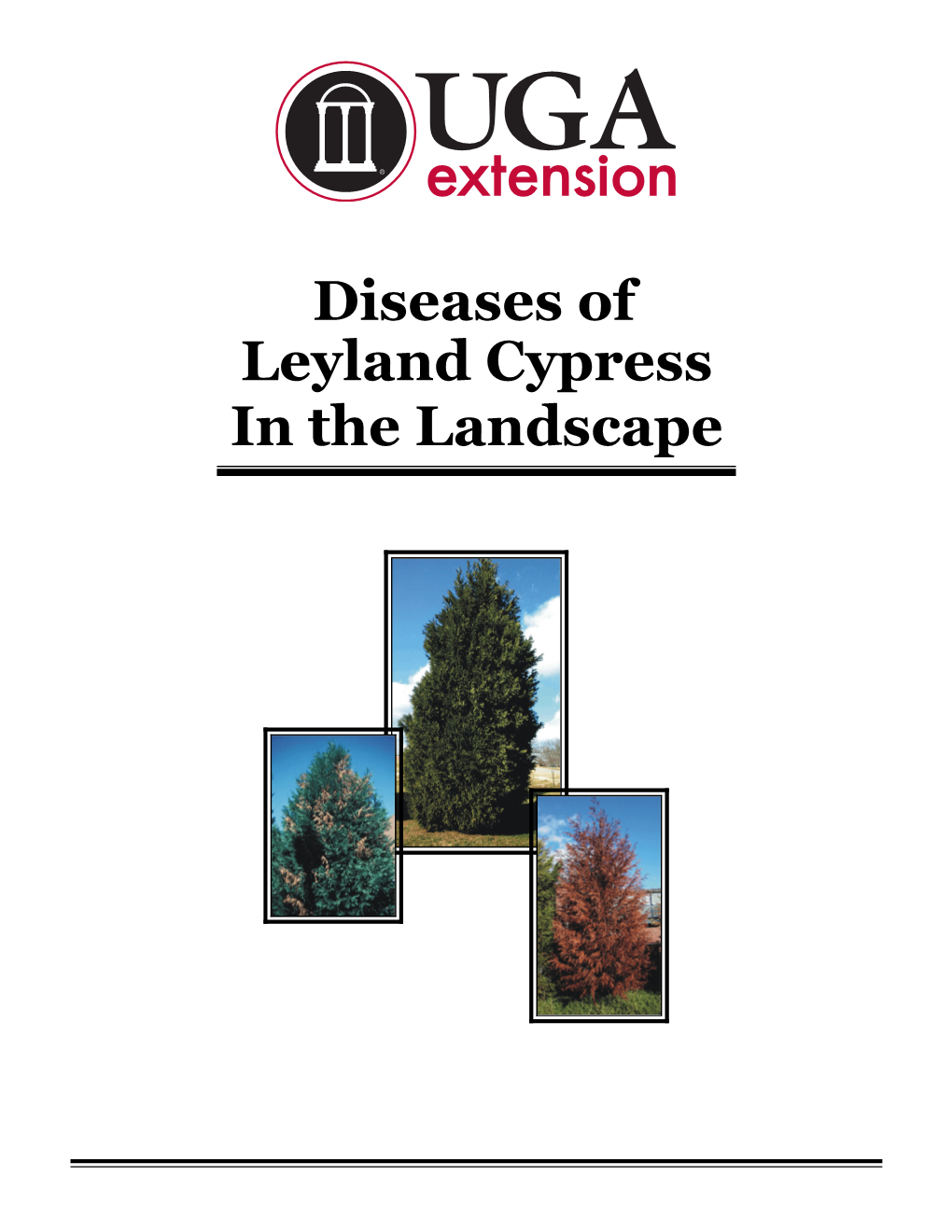 Diseases of Leyland Cypress in the Landscape Table of Contents