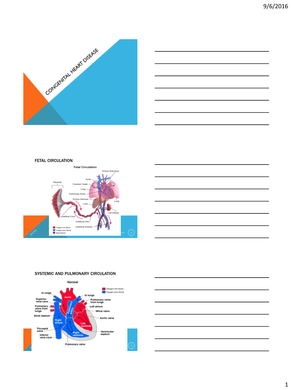 Congenital Heart Diseases 2