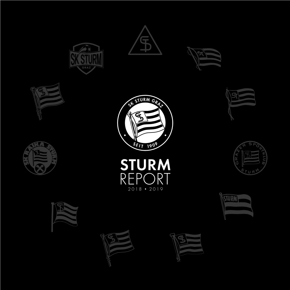 Download Sturmreport 2018/19