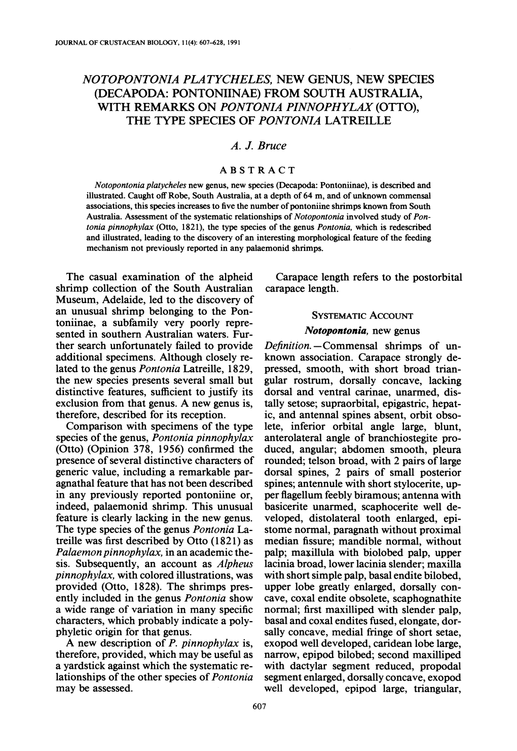 Notopontonia Platycheles, New Genus, New Species