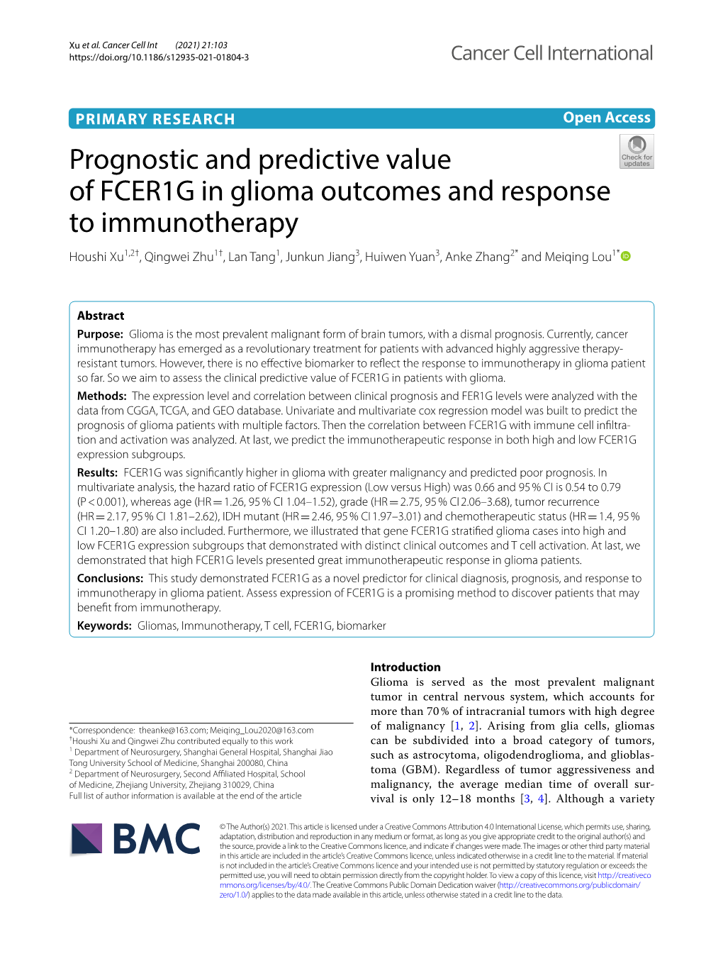 Prognostic and Predictive Value of FCER1G in Glioma Outcomes and Response to Immunotherapy