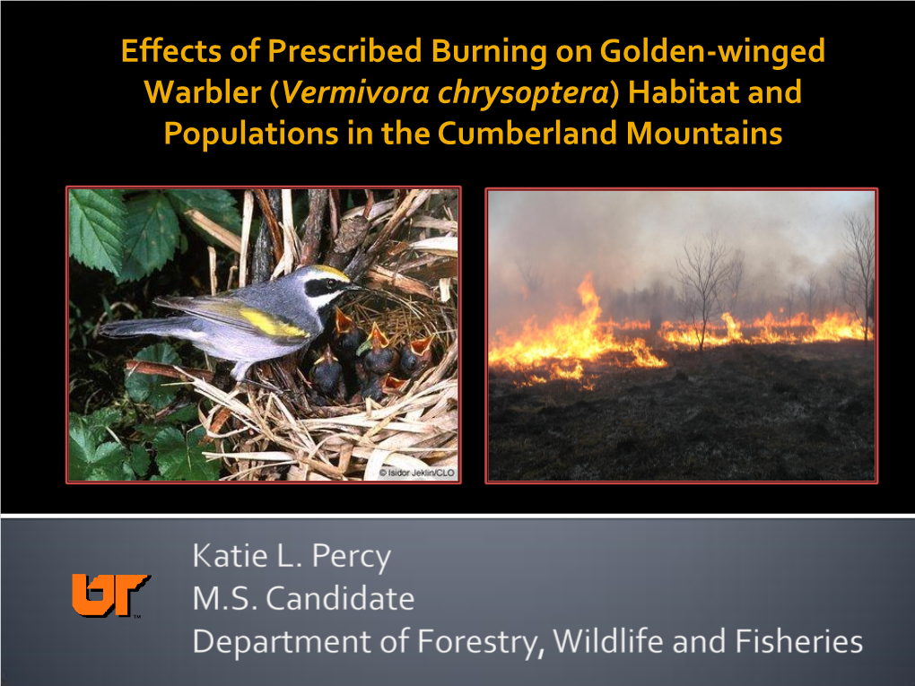 Vermivora Chrysoptera) Habitat and Populations in the Cumberland Mountains Confer (1992) North American Breeding Bird Survey