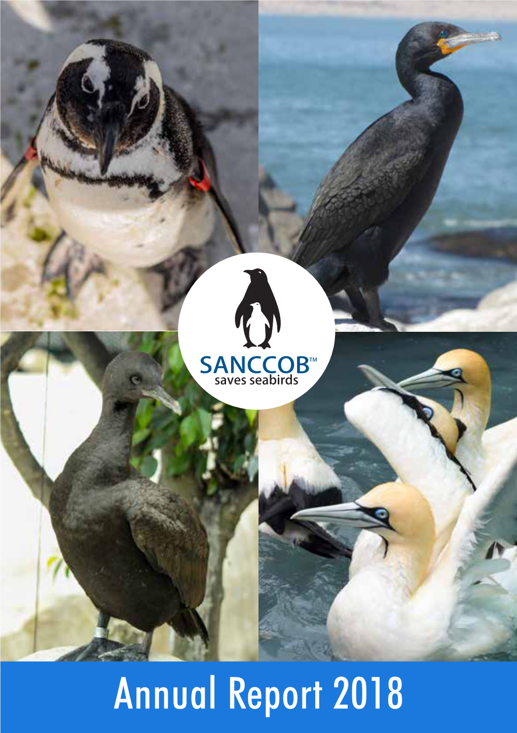 Annual Report 2018 1 Africa’S Largest Seabird Hospital