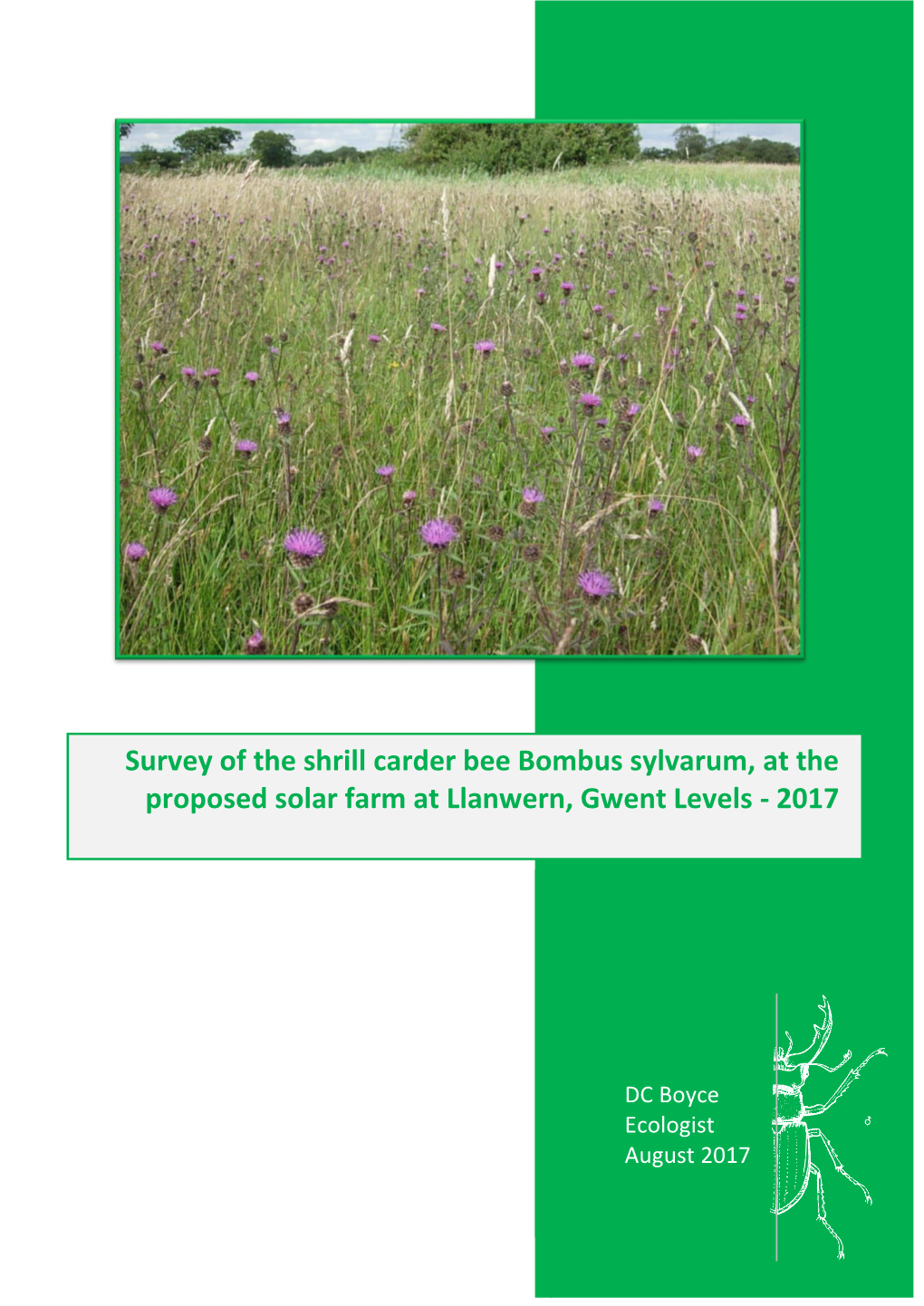 Survey of the Shrill Carder Bee Bombus Sylvarum, at the Proposed Solar Farm at Llanwern, Gwent Levels - 2017