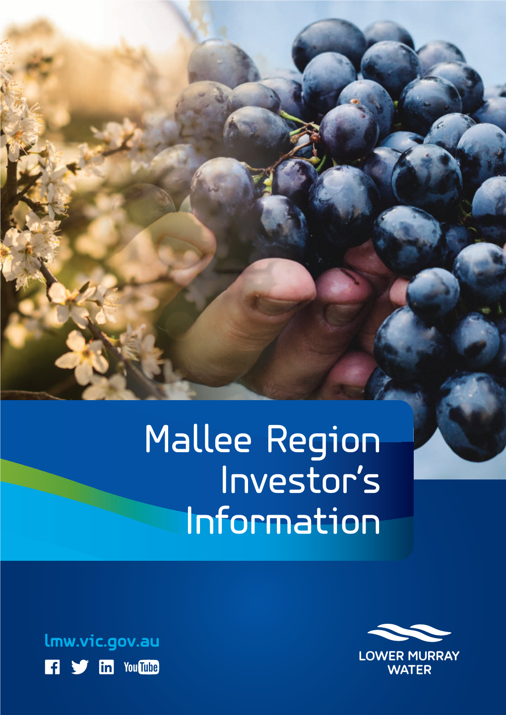 Mallee Region Investor's Information