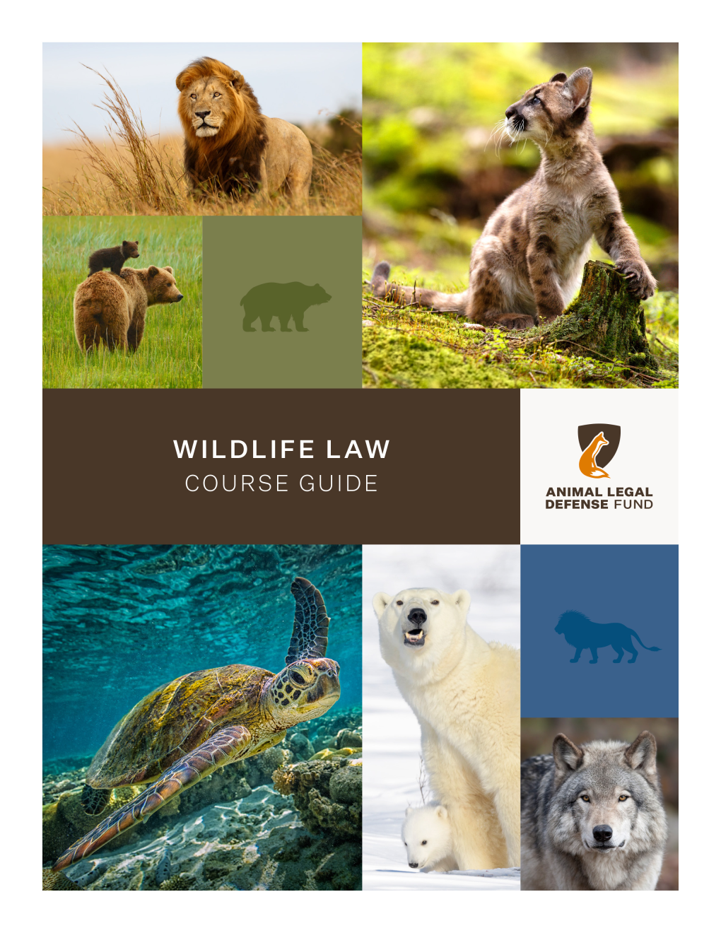 Wildlife Law Course Guide