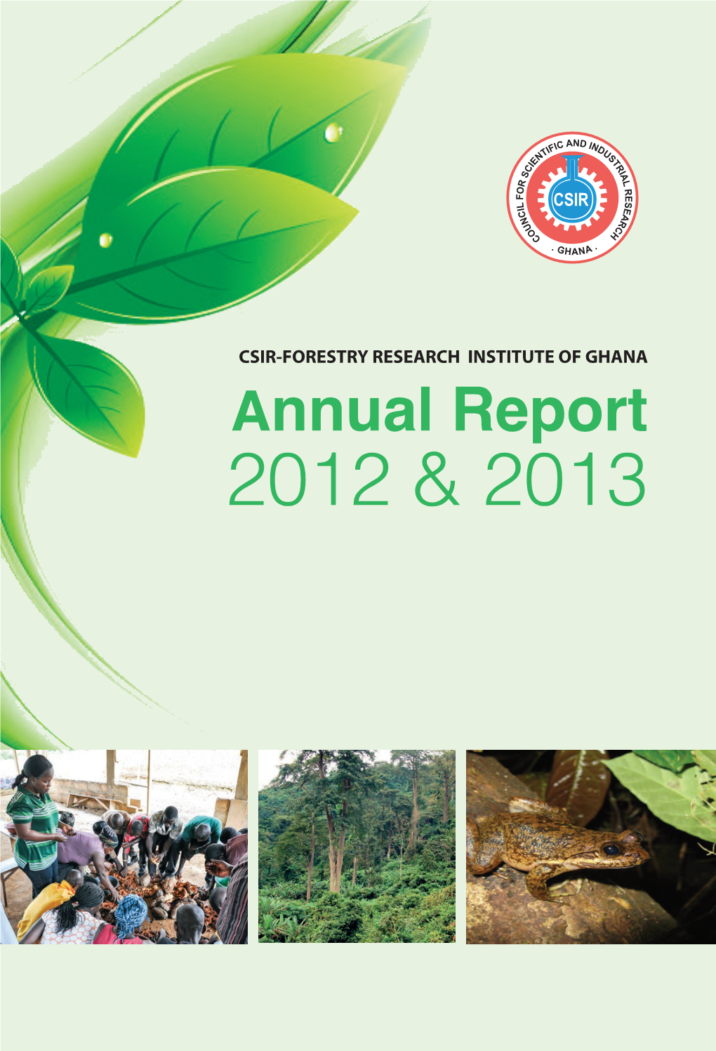2012 & 2013 Annual Report