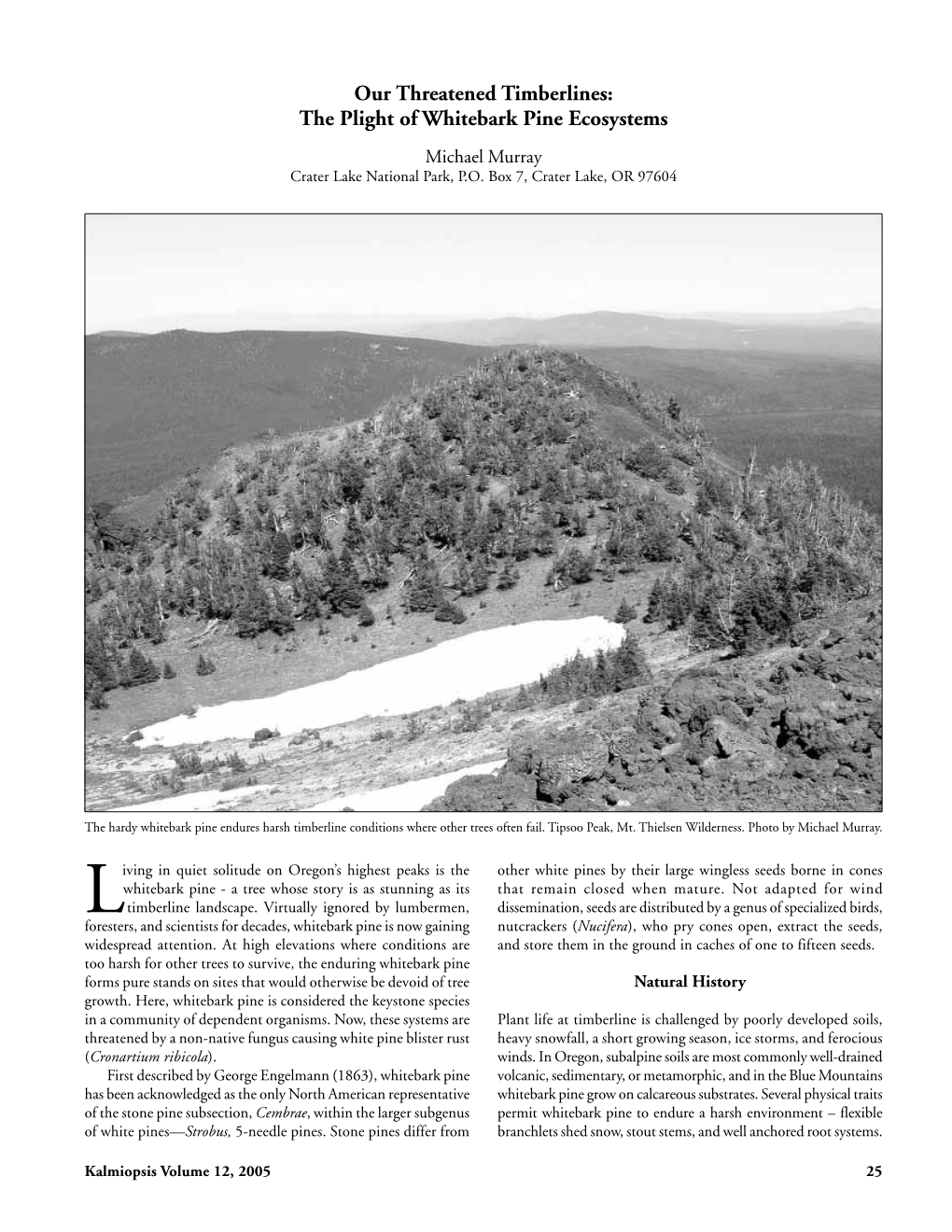Our Threatened Timberlines: the Plight of Whitebark Pine Ecosystems Michael Murray Crater Lake National Park, P.O