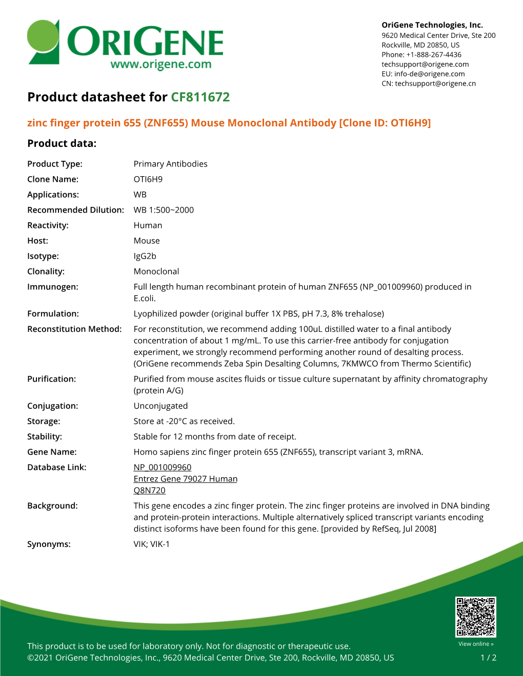 Zinc Finger Protein 655 (ZNF655) Mouse Monoclonal Antibody [Clone ID: OTI6H9] – CF811672 | Origene