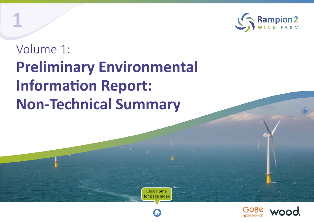 Preliminary Environmental Information Report: Non-Technical Summary 2 Contents