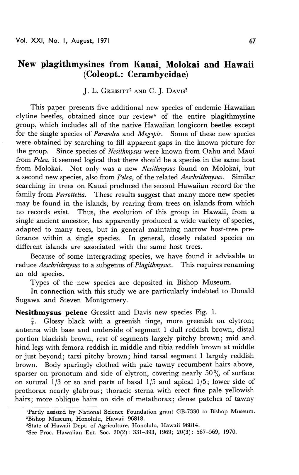 New Plagithmysines from Kauai, Molokai and Hawaii Reduce