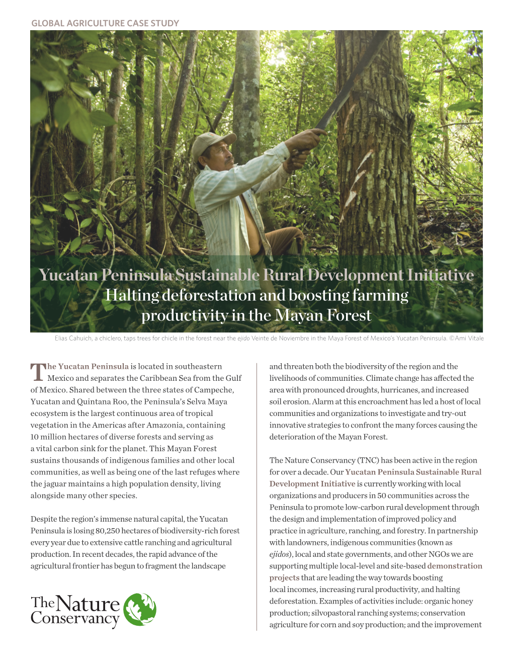 Yucatan Peninsula Sustainable Rural Development Initiative Halting Deforestation and Boosting Farming Productivity in the Mayan Forest