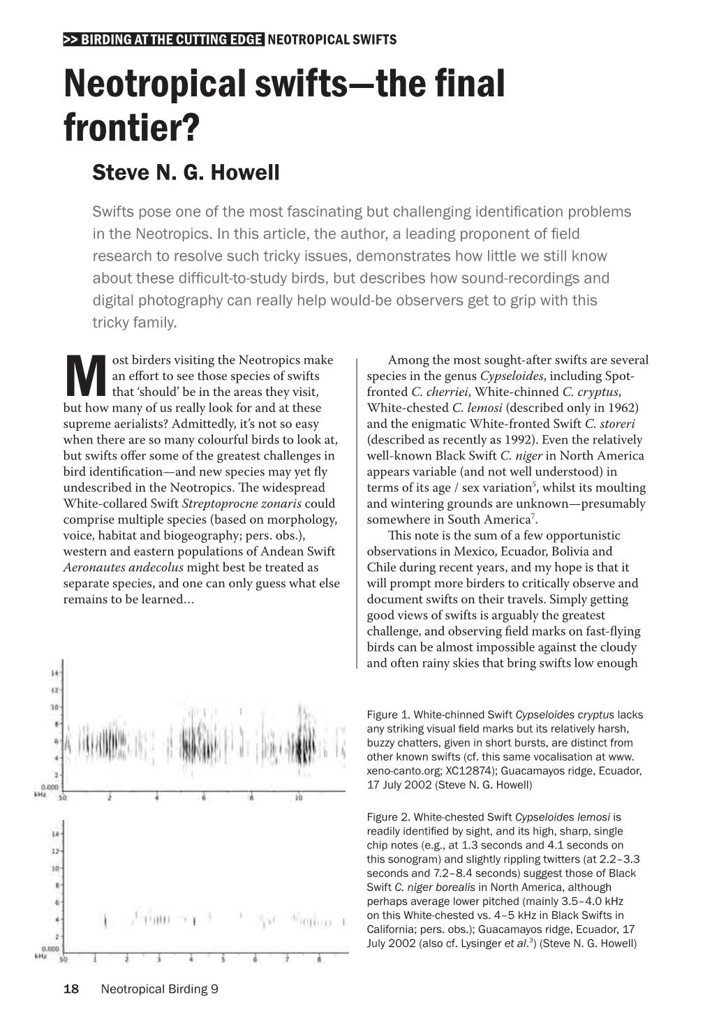 Neotropical Swifts—The Final Frontier? Steve N