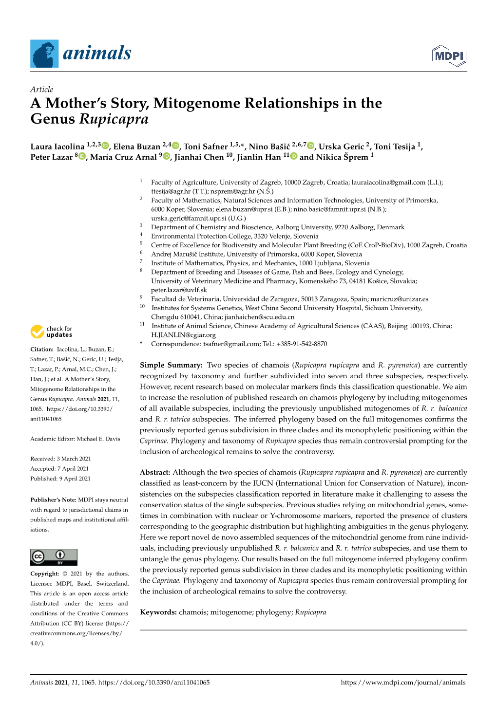 A Mother's Story, Mitogenome Relationships in the Genus Rupicapra