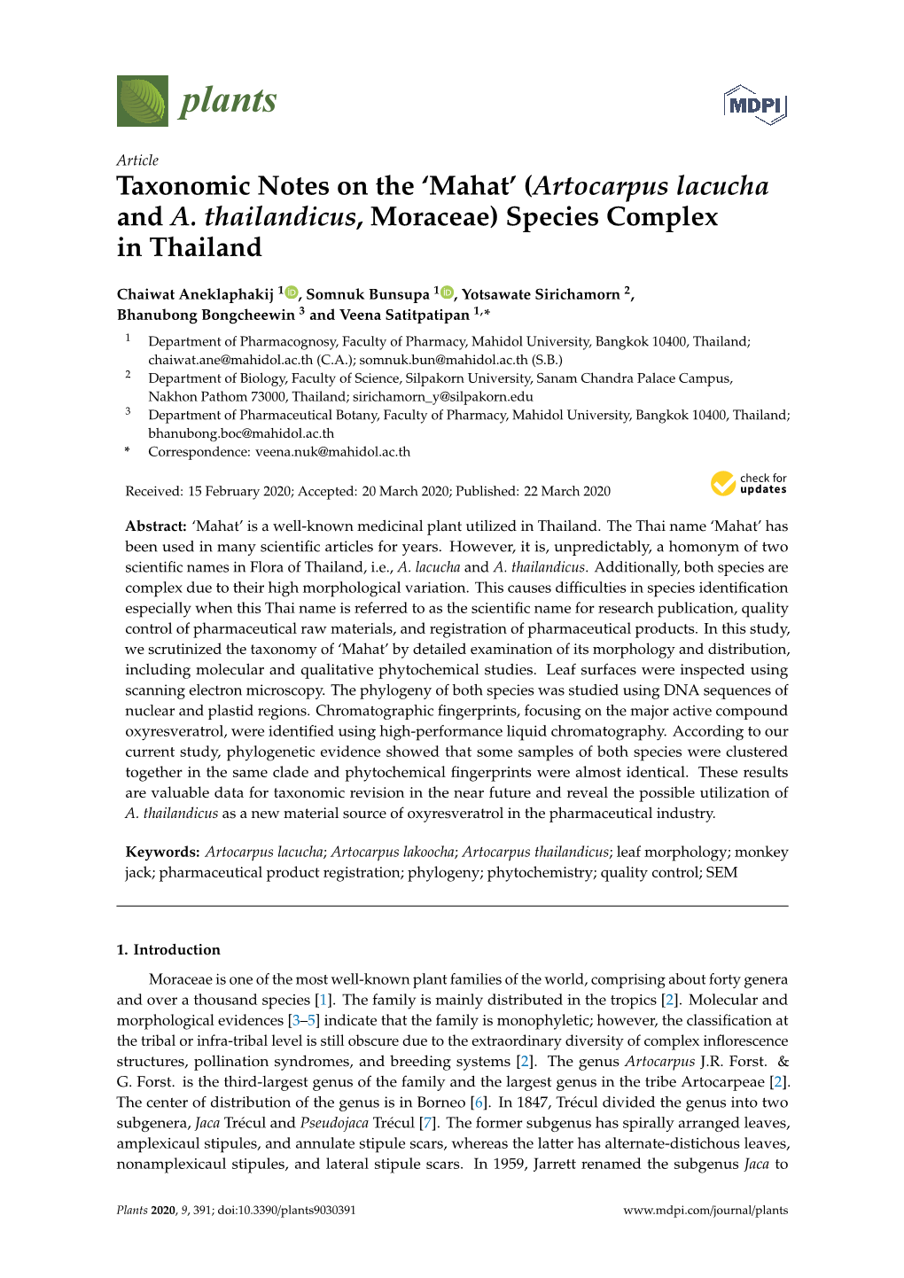Taxonomic Notes on the 'Mahat'(Artocarpus Lacucha and A