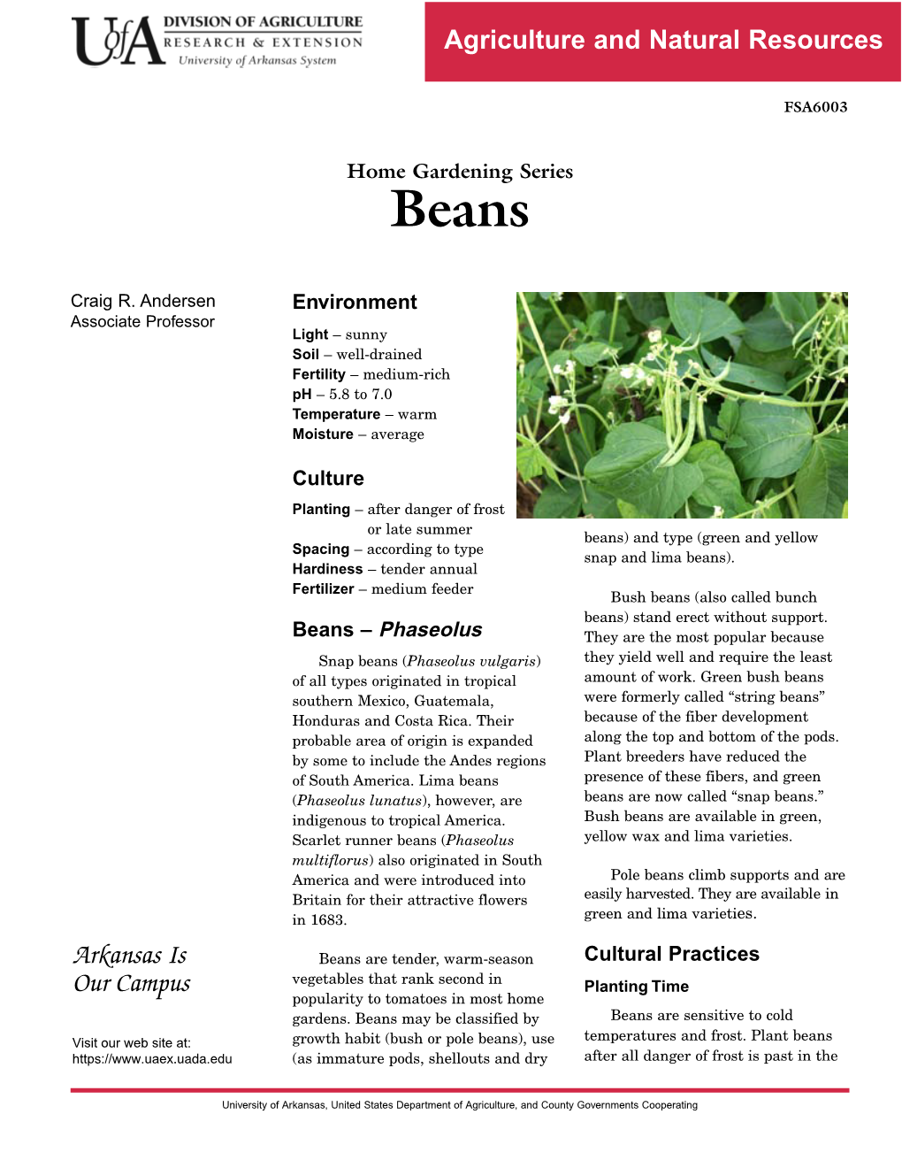 Beans (Home Gardening Series)