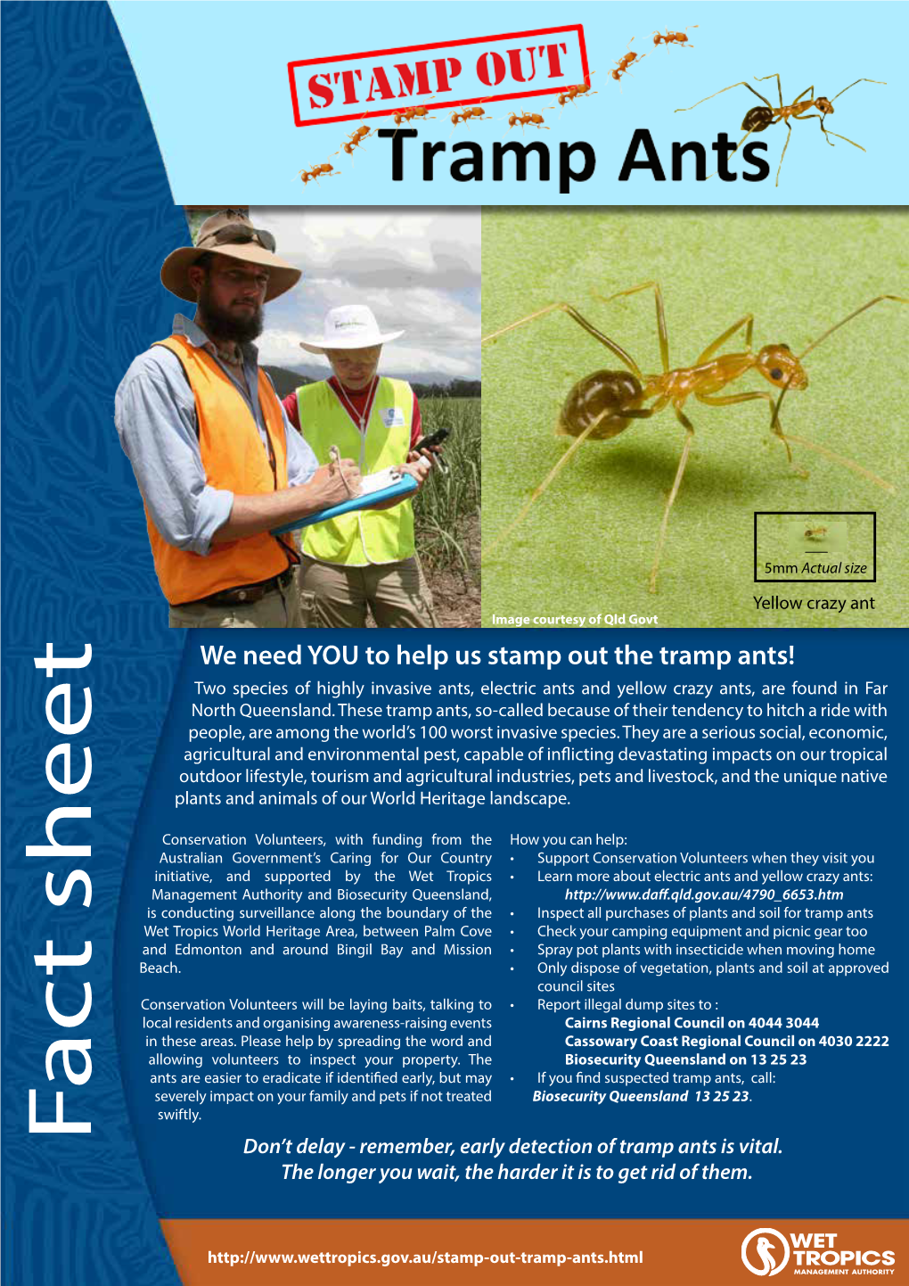 Download the Stamp out Tramp Ants Factsheet