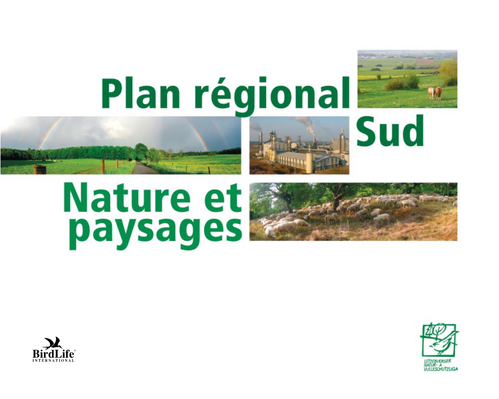 Plan Régional Sud La Conservation De La Nature Et Des Paysages Dans Une Région En Reconversion