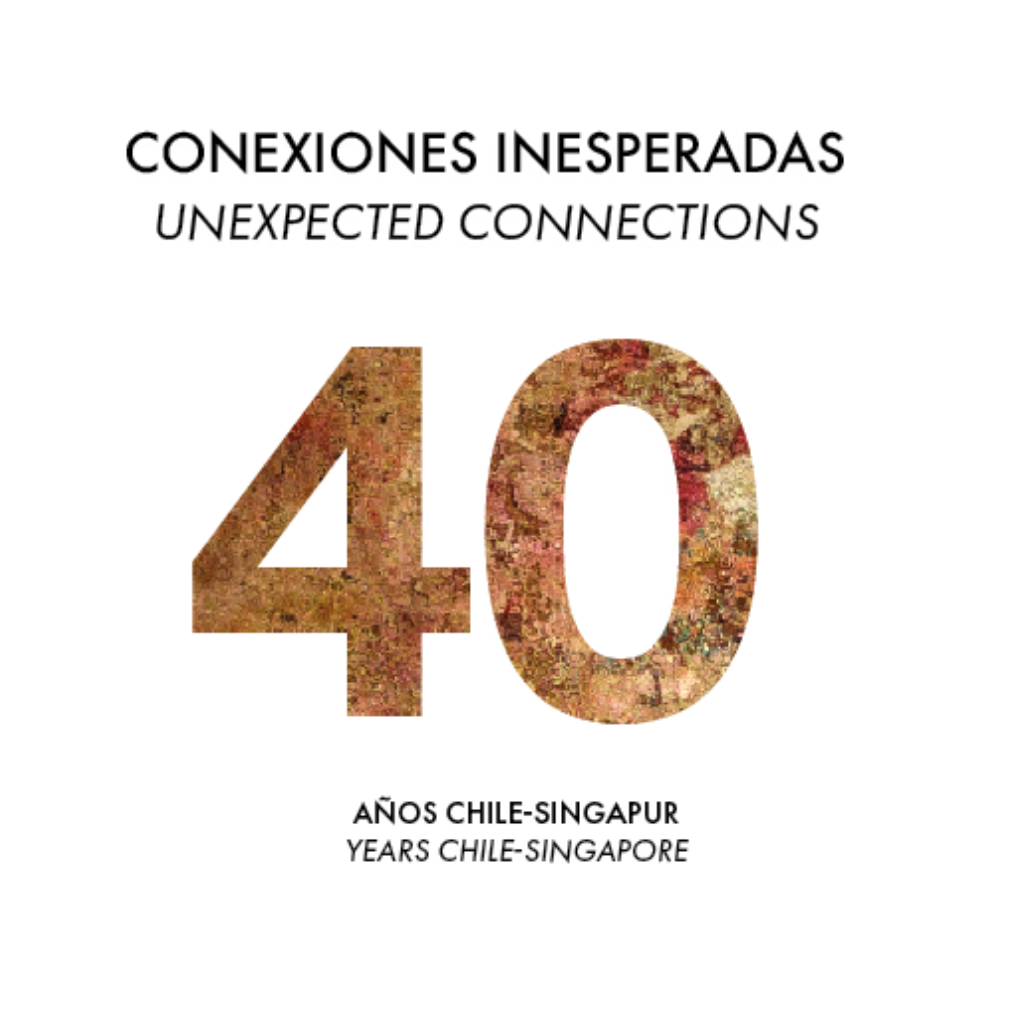 40Conexiones Inesperadas Unexpected Connections