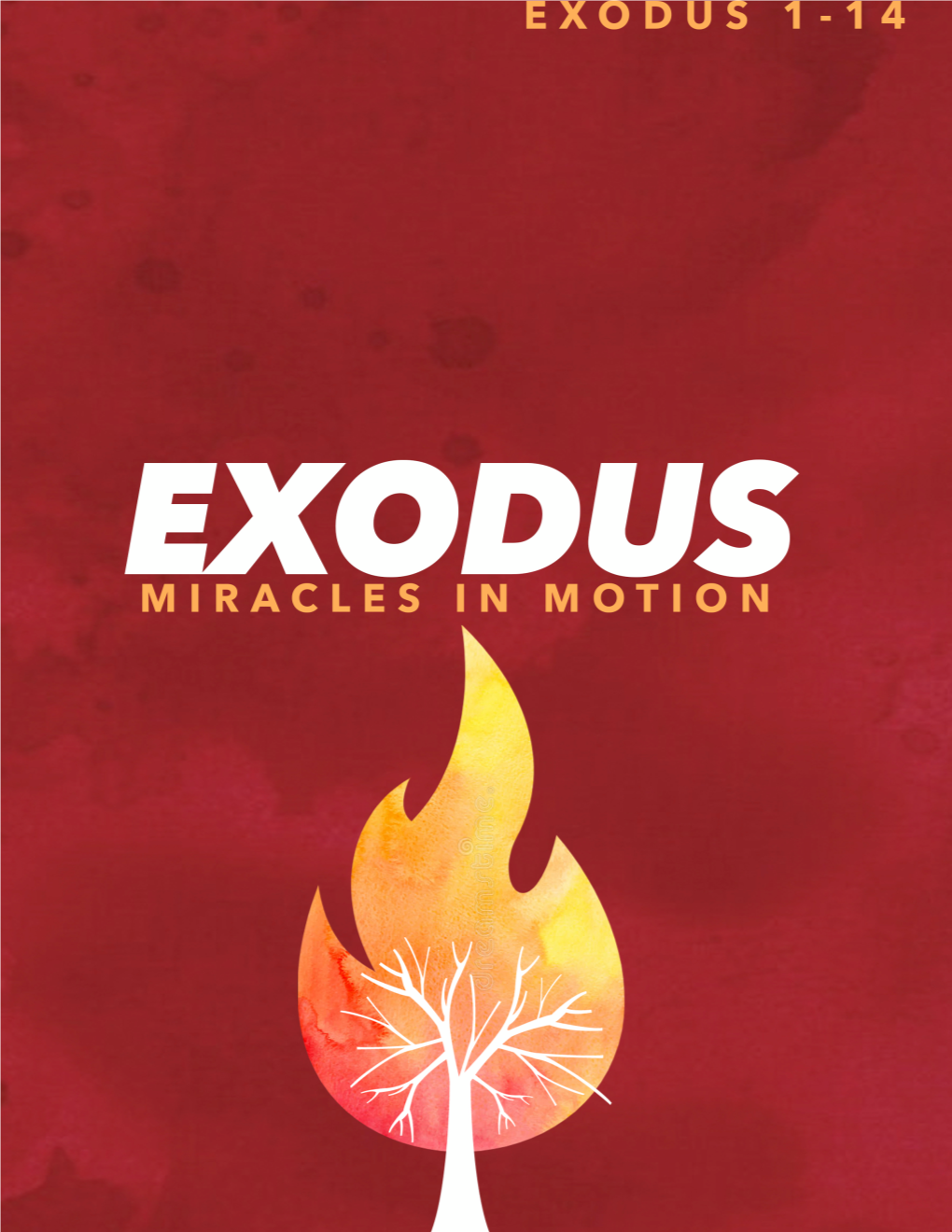 Miracles in Motion While His People Moved Forward
