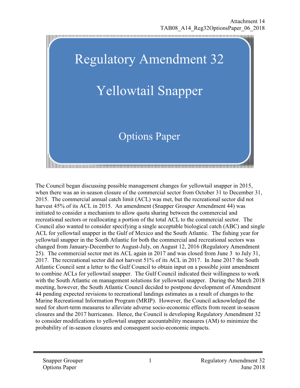 Regulatory Amendment 32 Yellowtail Snapper