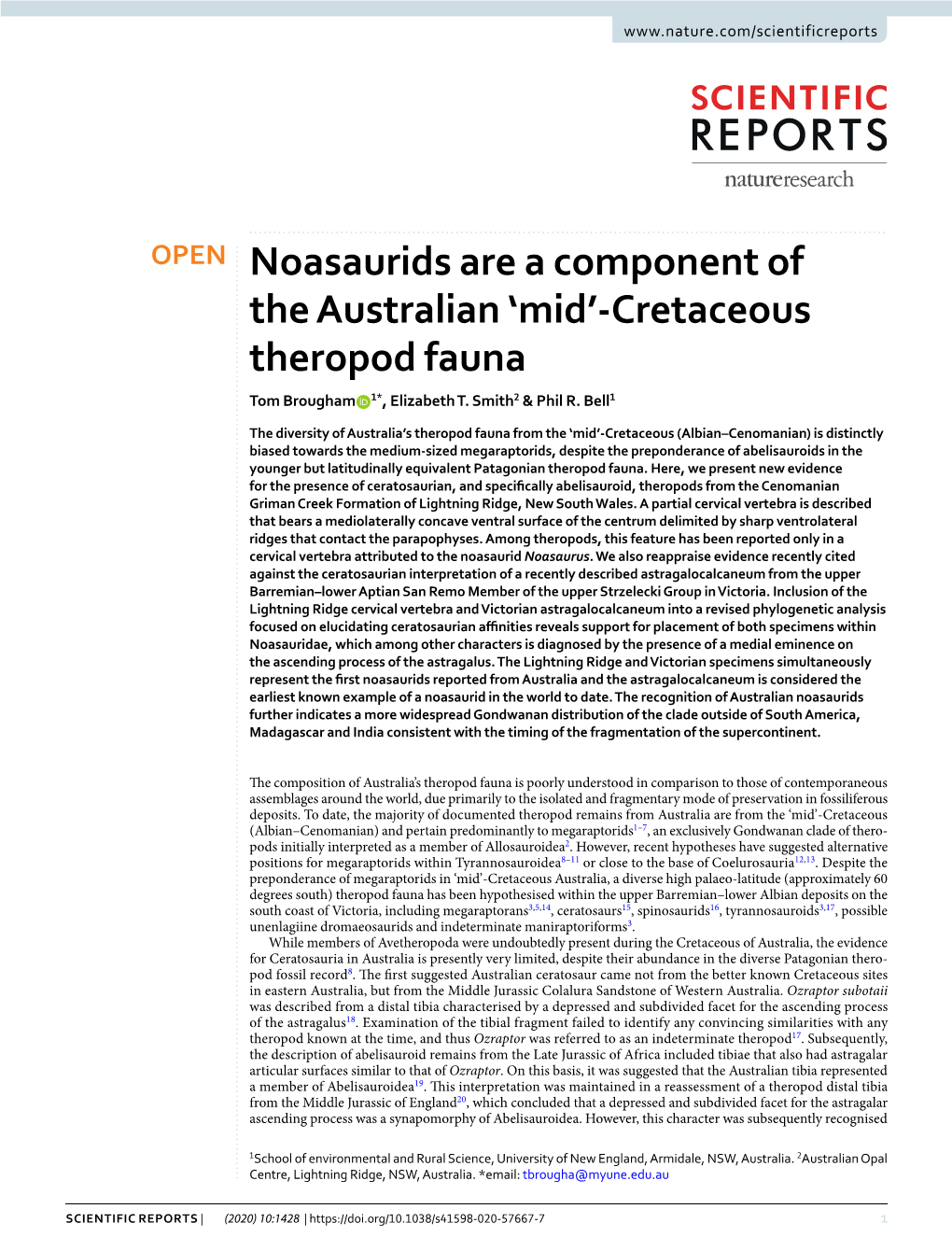 Noasaurids Are a Component of the Australian 'Mid'-Cretaceous