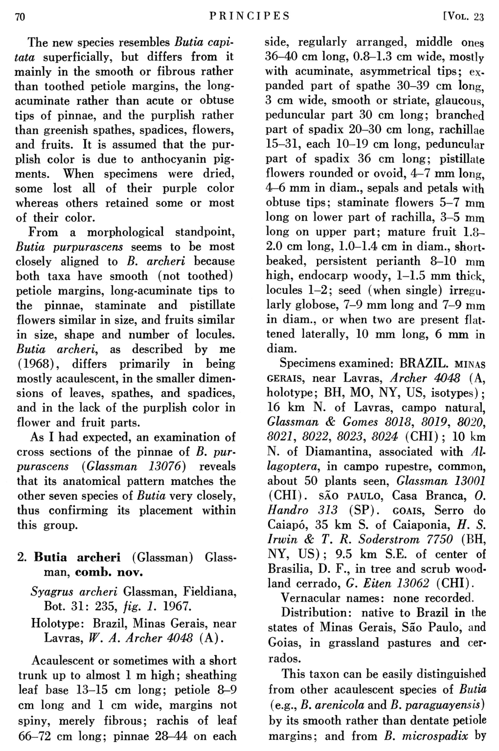 Bot. 31: 235, Fig. 1. 1967