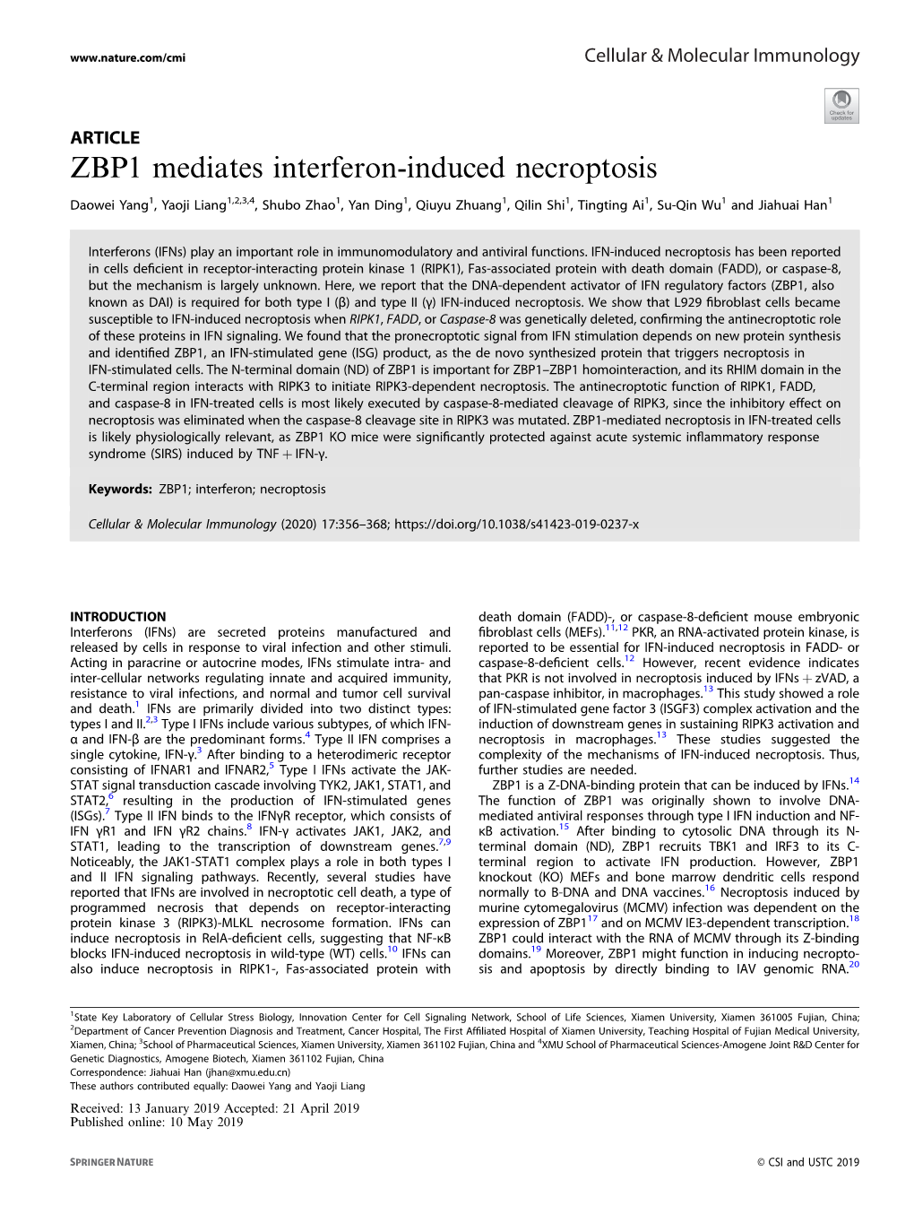 ZBP1 Mediates Interferon-Induced Necroptosis