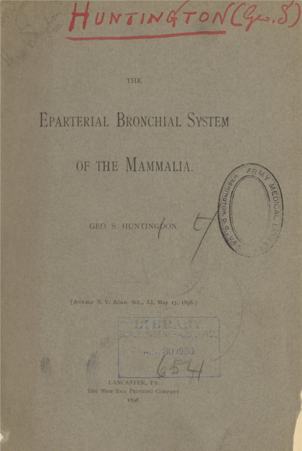 The Eparterial Bronchial System of the Mammalia