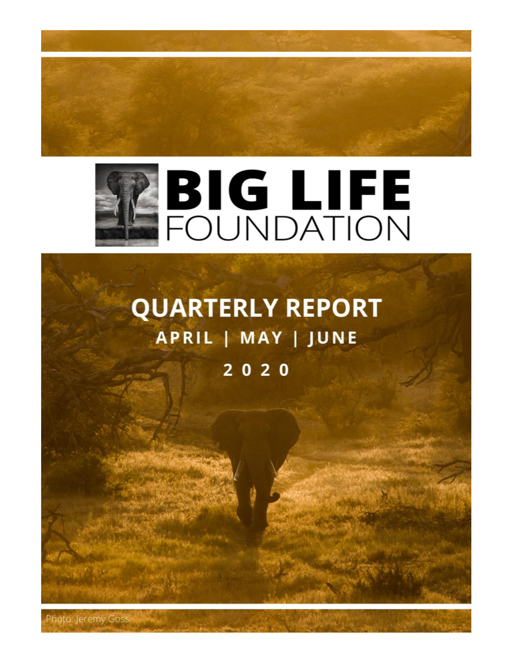 Blf Quarterly Report