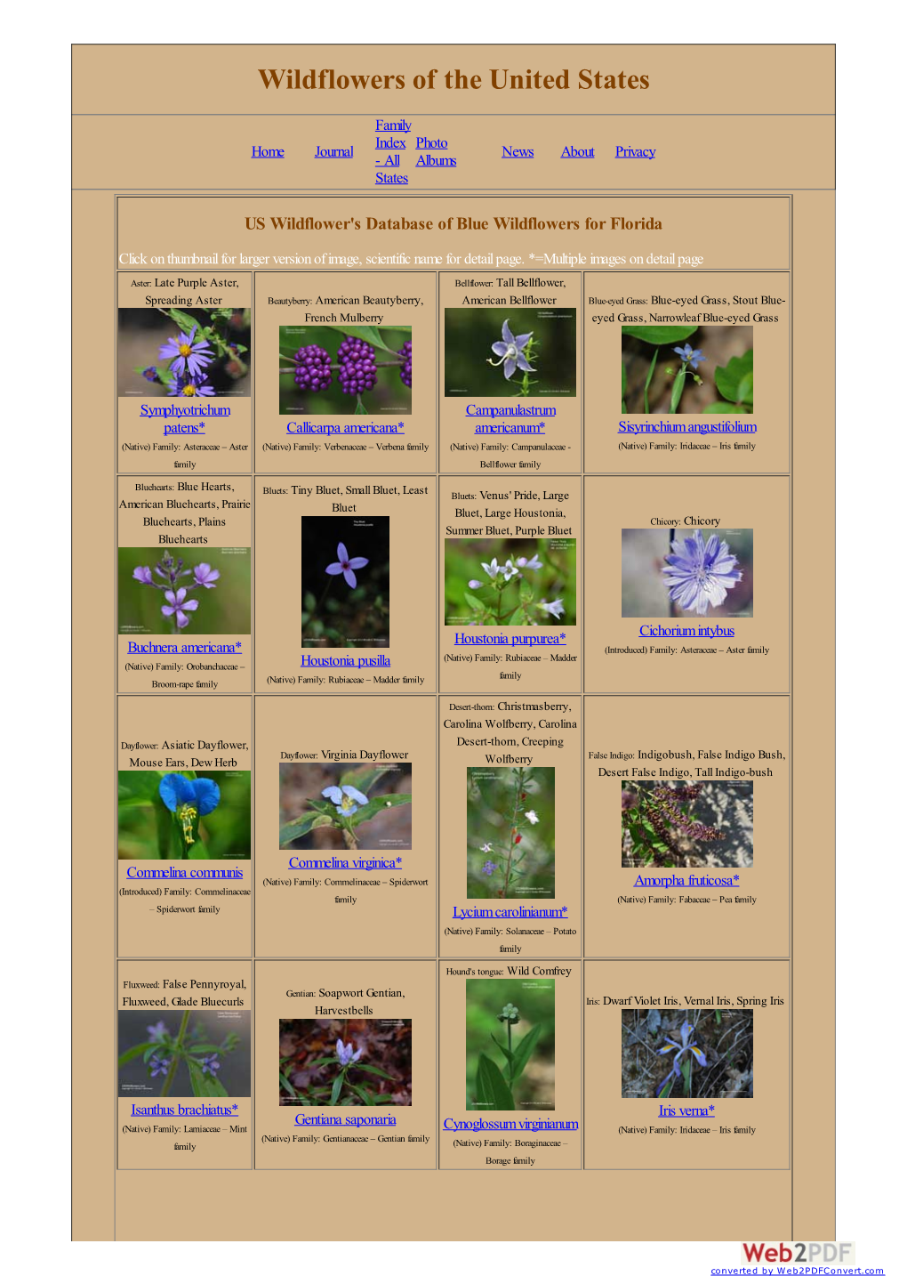 US Wildflower's Database of Blue Wildflowers for Florida